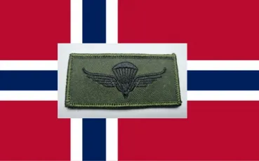 Fallschirmspringerabzeichen norwegen automat